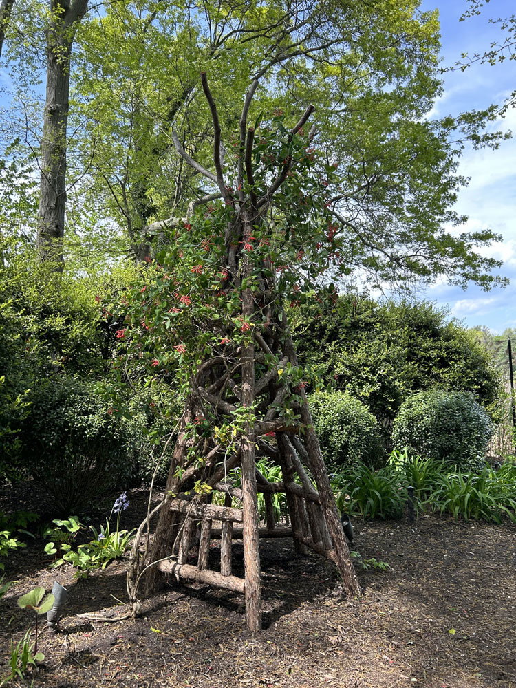Outdoor rustic garden tepee built using bark-on trees and branches titled the Tyson Garden Tepee