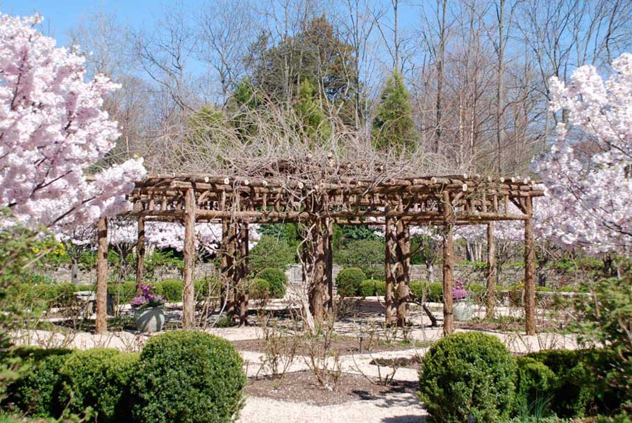 Rustic garden pergola built using bark-on trees and branches titled the Mercer Rose