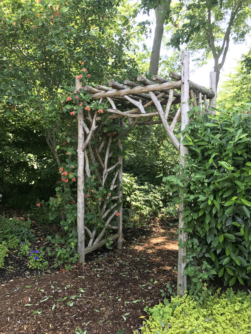 Rustic natural arbor made from bark-on cedar logs, twigs, and branches titled the Tyson