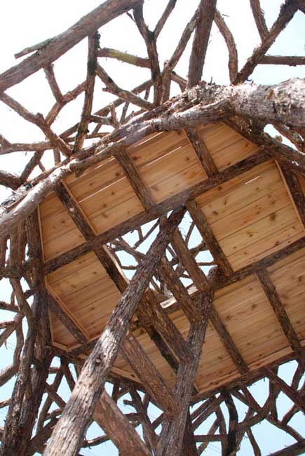 Outdoor rustic tree tower built using bark-on trees and branches titled the Kelly Tree Tower